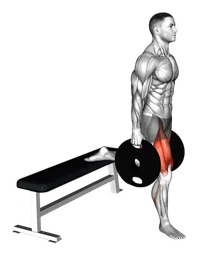 Bulgarian split squat con dischi