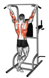 Chin-up presa larga
