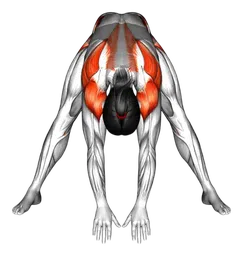 Piegamento in avanti a gambe divaricate con torsione