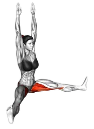 Piegamento in avanti a gambe divaricate