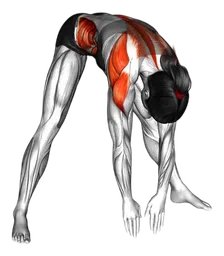 Rotazione toracica a gambe divaricate